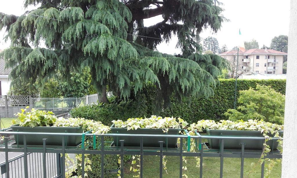 Giudici Guest house *